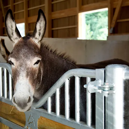 Center Parcs Villages Nature Paris Üdülőközpont 4*