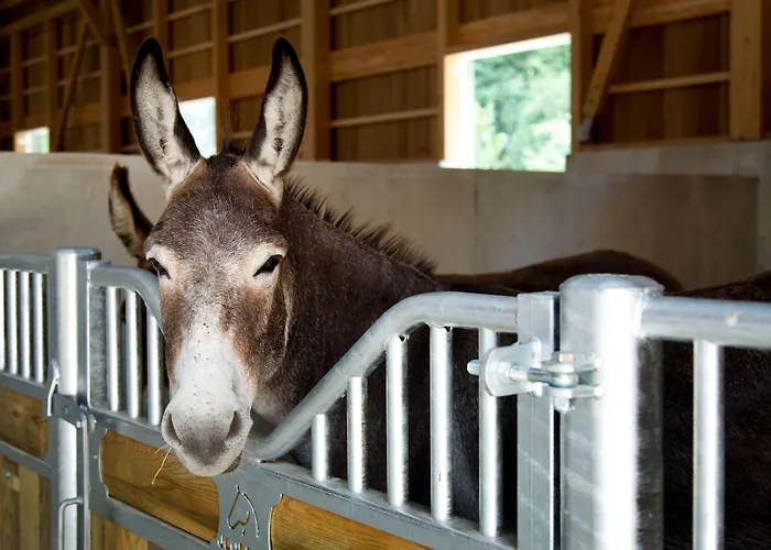 Center Parcs Villages Nature Paris Resort 4*