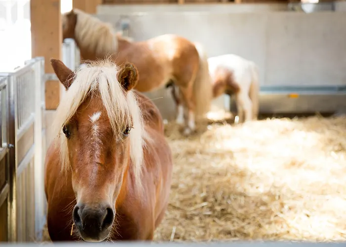 Center Parcs Villages Nature Paris 4* Bailly-Romainvilliers